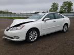 2011 Lexus Es 350 იყიდება Columbia Station-ში, OH - Front End