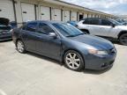 2005 Acura Tsx  na sprzedaż w Louisville, KY - Side