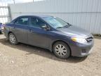 2013 Toyota Corolla Base за продажба в Nisku, AB - Rear End