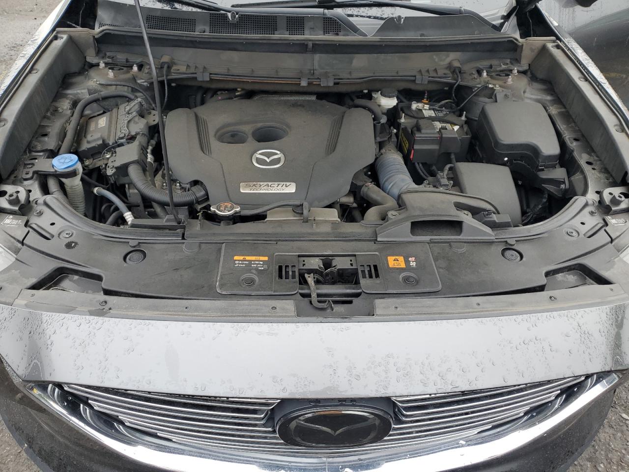 2019 Mazda Cx-9 Touring VIN: JM3TCBCY7K0304664 Lot: 58710495