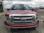 2014 Ford F150 Supercrew   იყიდება Earlington-ში, KY - Hail
