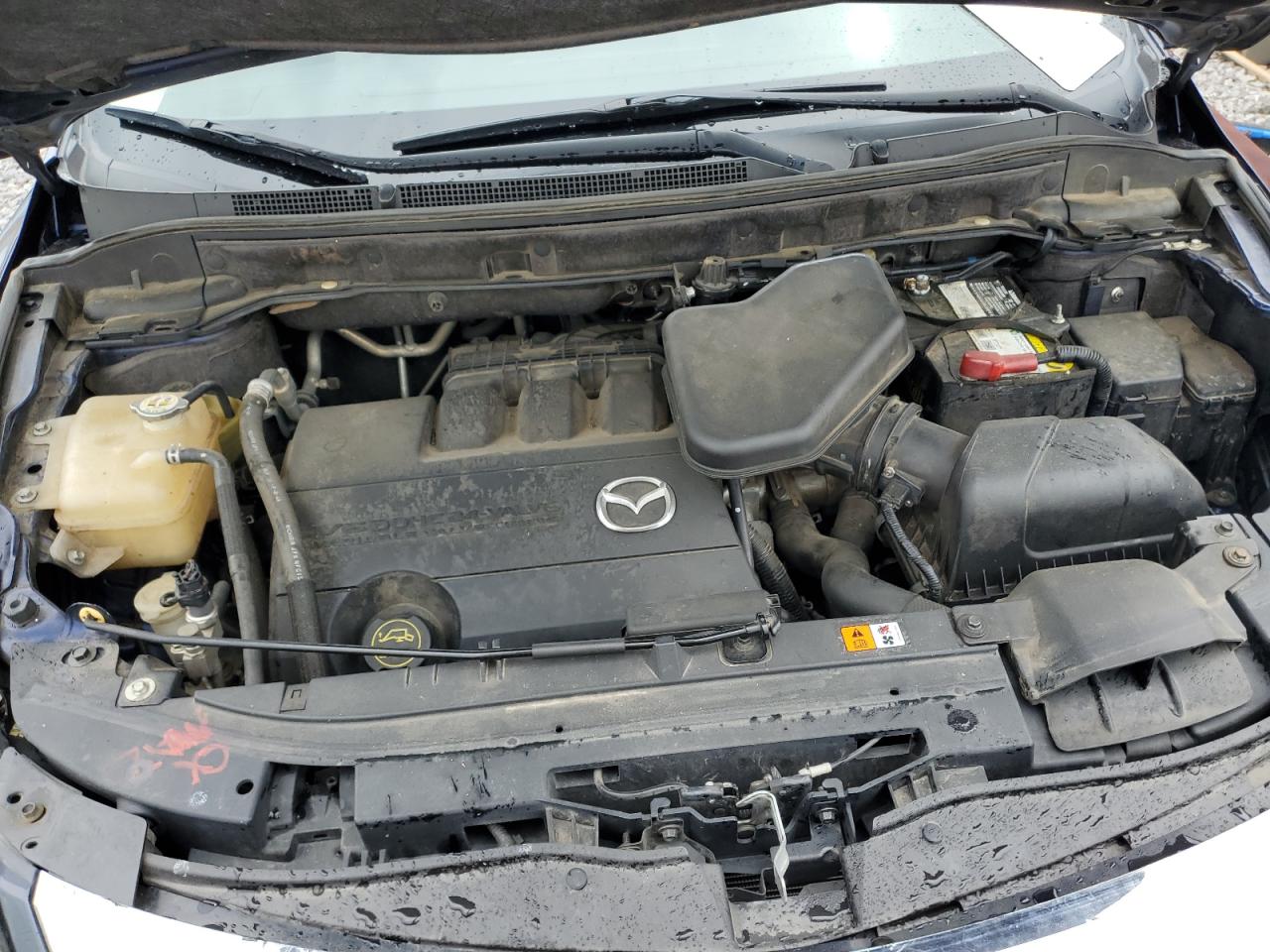 2010 Mazda Cx-9 VIN: JM3TB2MA0A0233570 Lot: 55952025