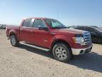 2013 Ford F150 Supercrew for Sale in Greenwood, NE - Hail