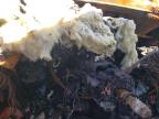 2004 Chevrolet Blazer  იყიდება Rogersville-ში, MO - Burn - Interior