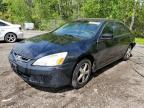 2005 HONDA ACCORD EX à vendre chez Copart ON - COOKSTOWN