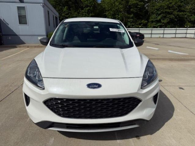  FORD ESCAPE 2022 White