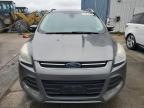 2014 Ford Escape Titanium for Sale in Windsor, NJ - Mechanical