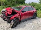2024 MAZDA CX-50 PREFERRED   for sale at Copart AB - CALGARY