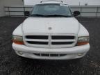 2001 Dodge Durango  for Sale in Waldorf, MD - Mechanical