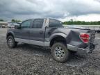 2011 Ford F150 Supercrew за продажба в Hueytown, AL - Rear End