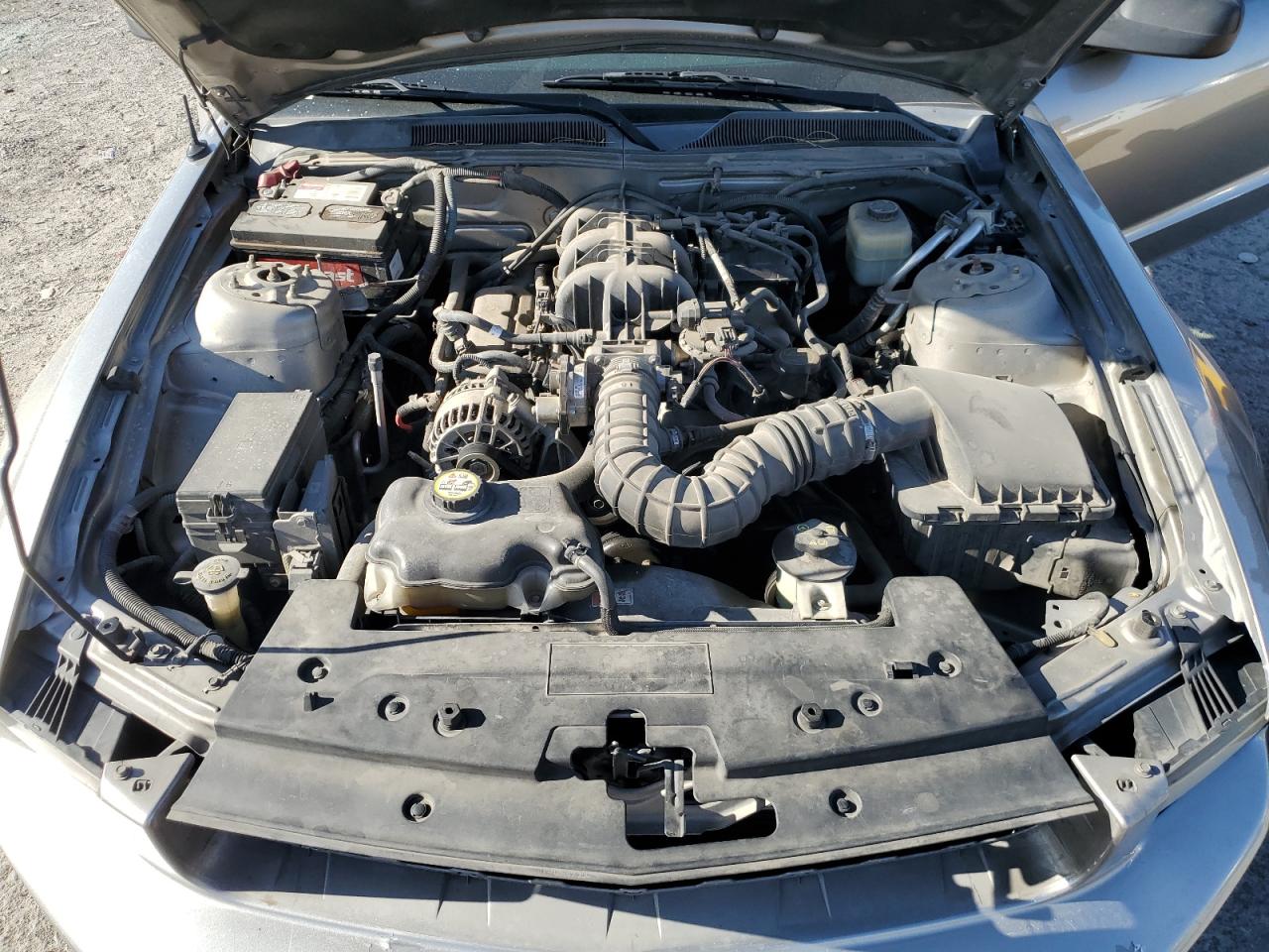 2008 Ford Mustang VIN: 1ZVHT80N785139980 Lot: 58023795