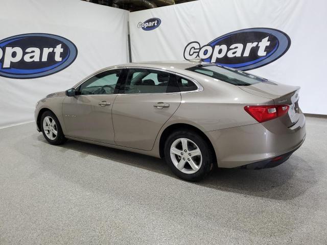  CHEVROLET MALIBU 2023 Gold