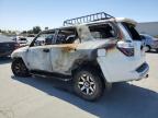2024 Toyota 4Runner Sr5 Premium продається в Martinez, CA - Burn