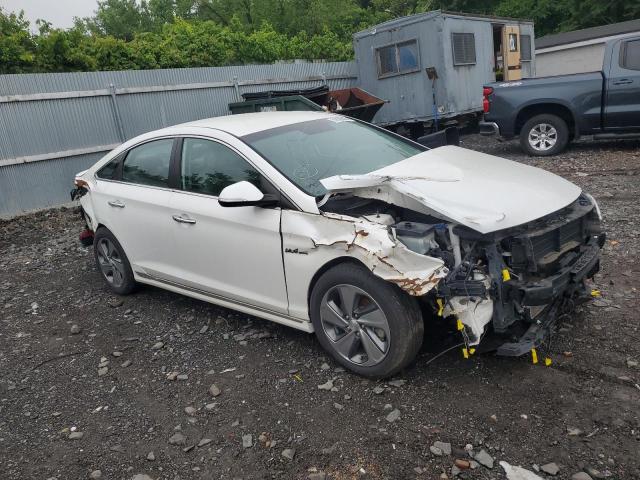  HYUNDAI SONATA 2017 Белы