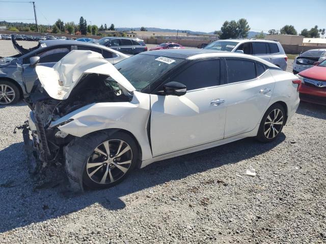  NISSAN MAXIMA 2017 Білий
