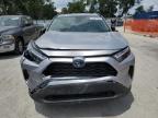 2024 Toyota Rav4 Le იყიდება Ocala-ში, FL - Front End