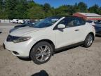 2011 Nissan Murano Crosscabriolet for Sale in Mendon, MA - Minor Dent/Scratches
