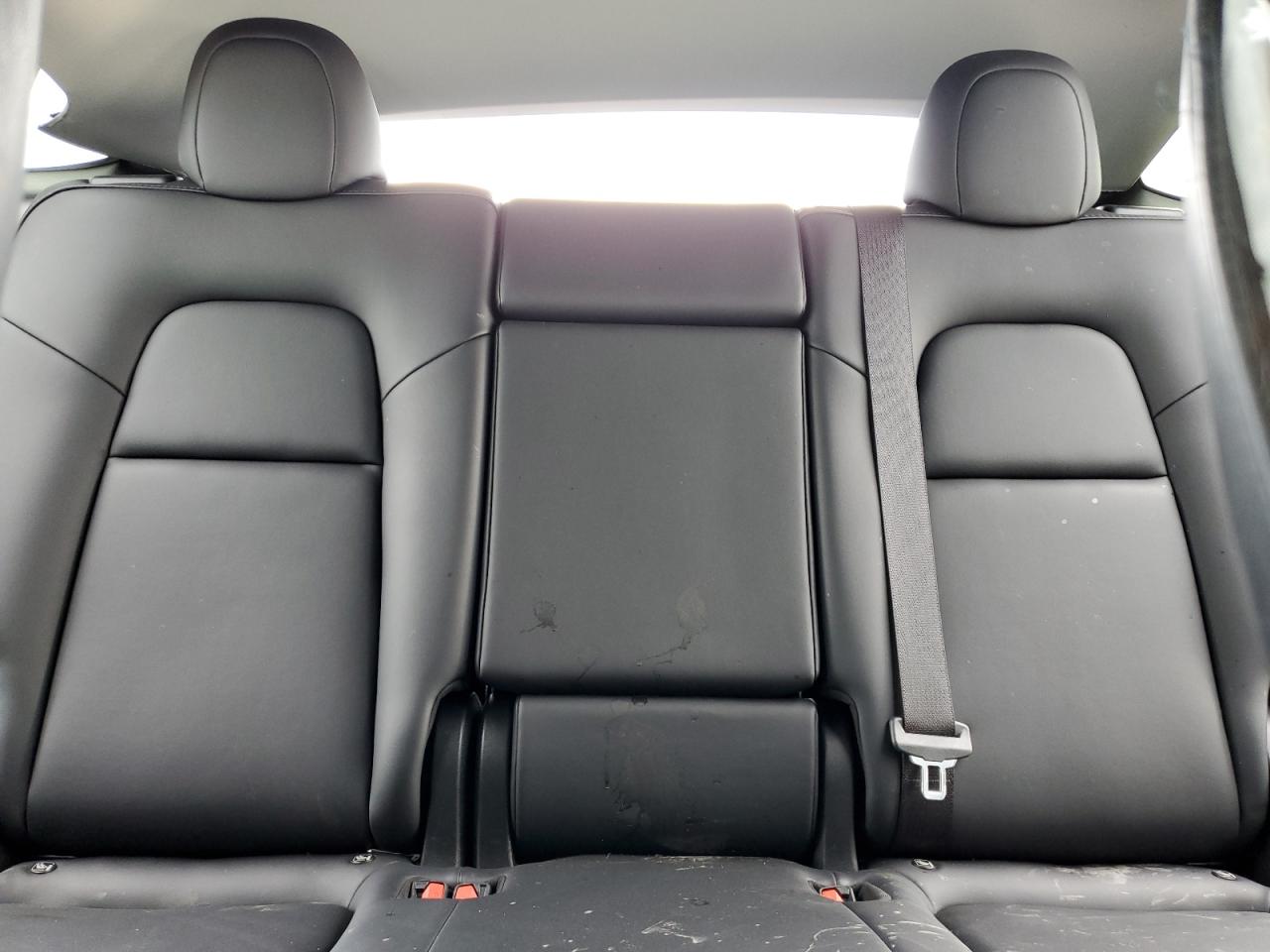 2023 Tesla Model Y VIN: 7SAYGDEFXPF868931 Lot: 59297535