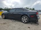 2013 Dodge Charger Police na sprzedaż w Harleyville, SC - Rear End