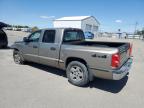2006 Dodge Dakota Quad Slt на продаже в Nampa, ID - Front End