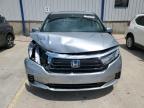 Lawrenceburg, KY에서 판매 중인 2024 Honda Odyssey Touring - Front End