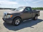 2009 Ford F150  de vânzare în Spartanburg, SC - Rear End