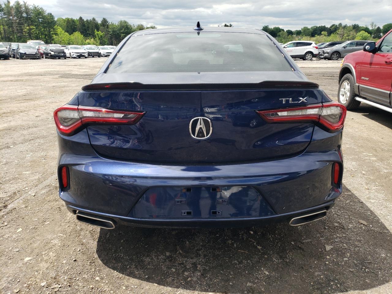 2021 Acura Tlx VIN: 19UUB5F35MA004394 Lot: 56005655
