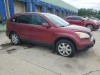 2007 Honda Cr-V Exl იყიდება Columbus-ში, OH - Minor Dent/Scratches