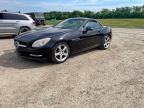 2015 Mercedes-Benz Slk 250 na sprzedaż w Grand Prairie, TX - Minor Dent/Scratches