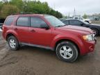 2010 Ford Escape Xlt for Sale in London, ON - Side