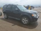 2012 Ford Escape Limited for Sale in Brighton, CO - Rear End