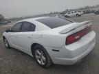 2011 Dodge Charger  en Venta en Cahokia Heights, IL - Hail