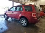 2008 Ford Escape Xlt for Sale in Madisonville, TN - Front End
