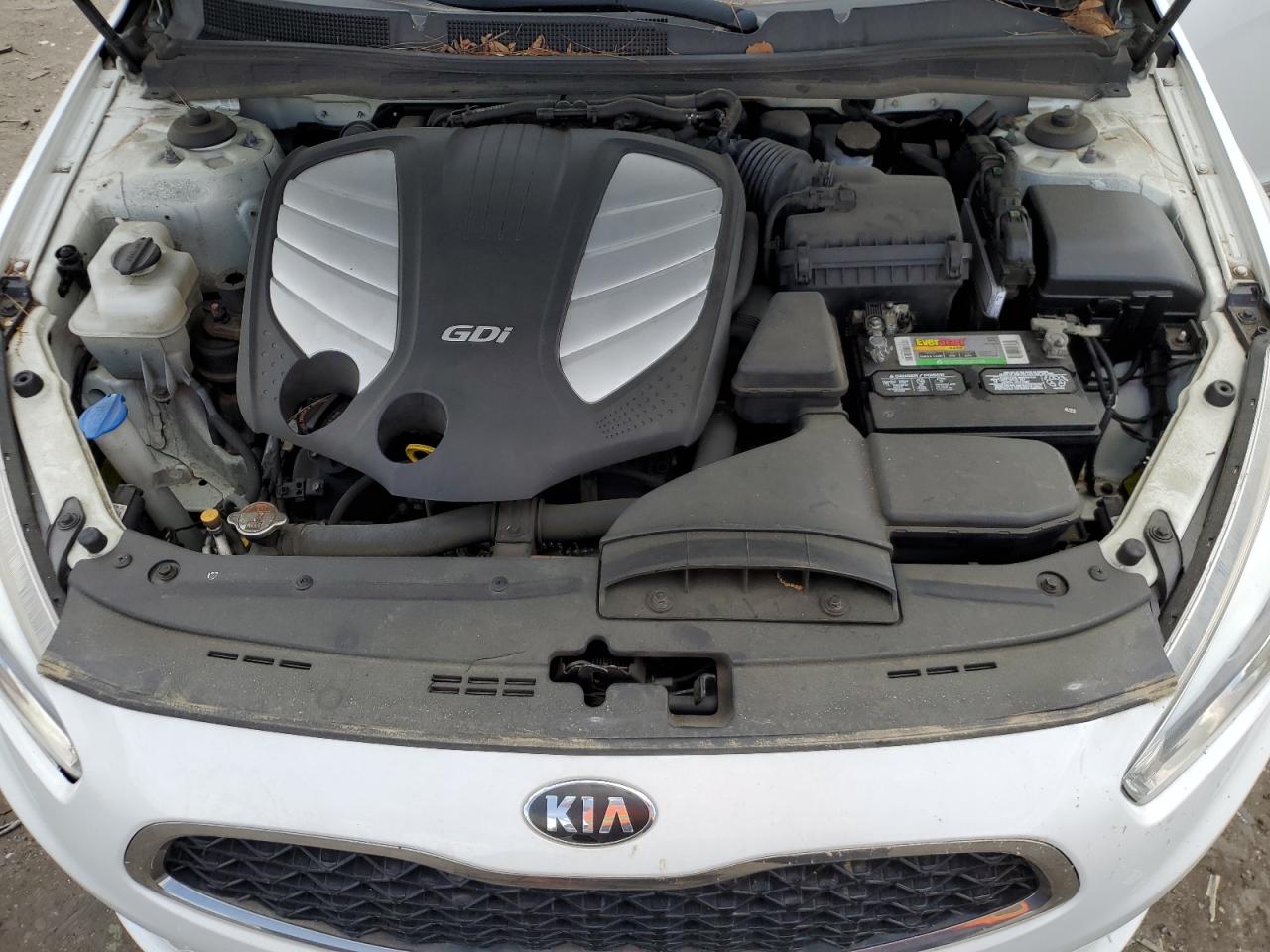 2014 Kia Cadenza Premium VIN: KNALN4D75E5166891 Lot: 55971055