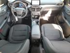 Orlando, FL에서 판매 중인 2024 Ford Escape Active - Rear End
