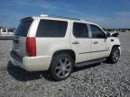 2011 Cadillac Escalade Luxury за продажба в Arcadia, FL - Front End