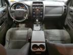 2010 Ford Escape Xlt for Sale in Milwaukee, WI - Mechanical