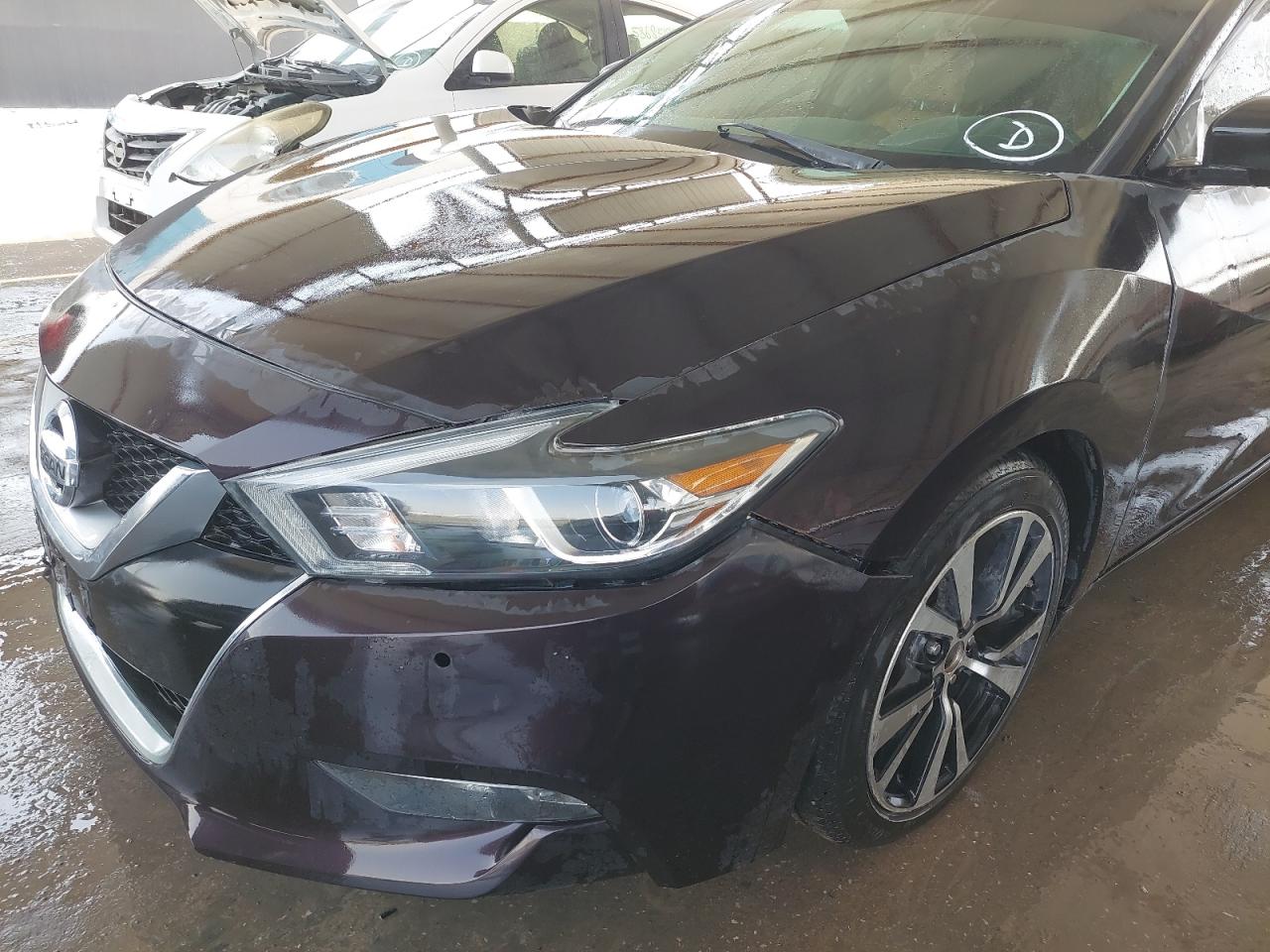 1N4AA6AP1GC385809 - 2016 Nissan MAXIMA - #58686325
