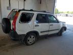 2003 Honda Cr-V Ex for Sale in Lexington, KY - All Over