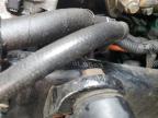 2012 Freightliner Cascadia 125 Semi Truck zu verkaufen in Glassboro, NJ - Front End