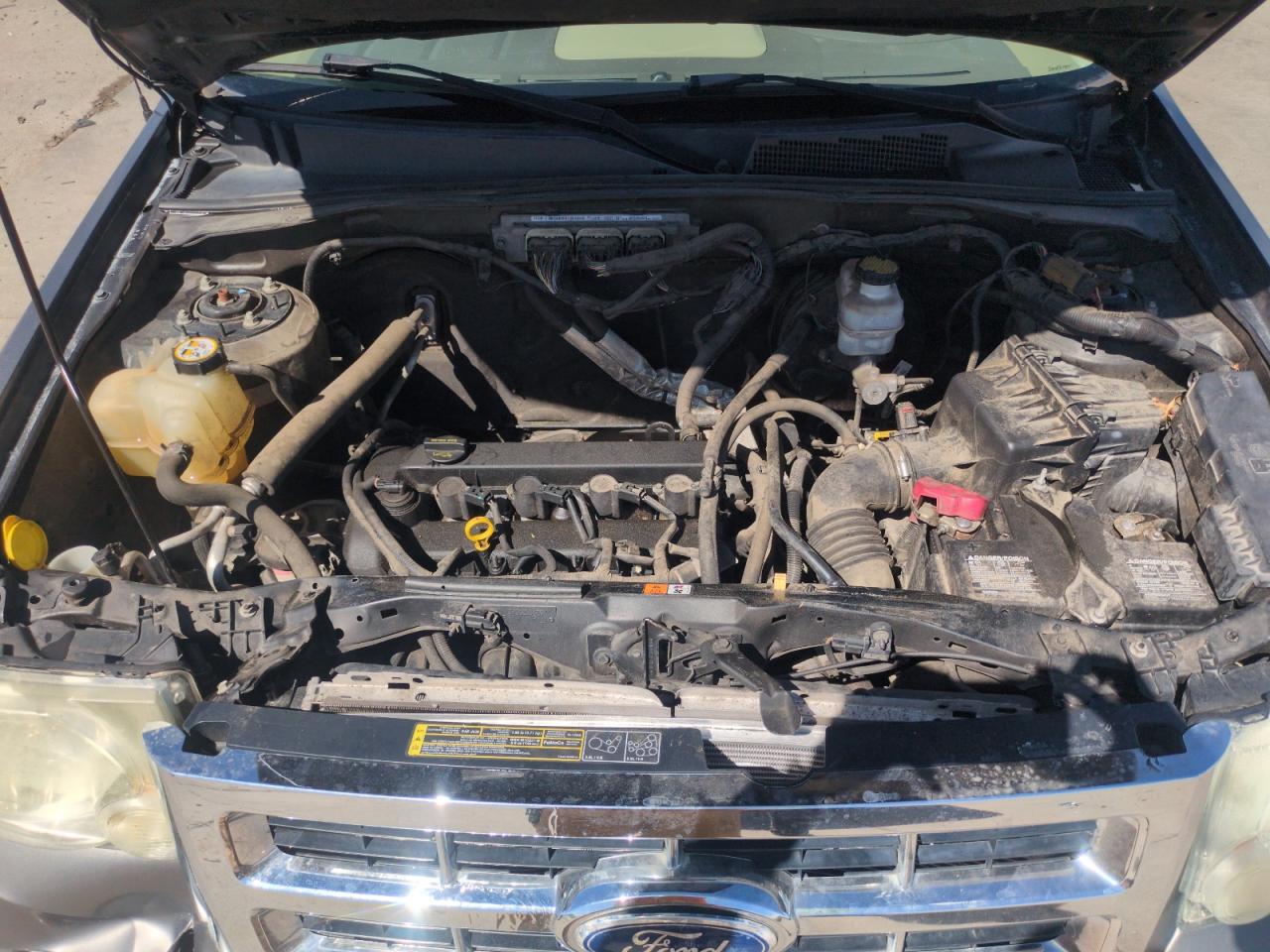 2010 Ford Escape Xlt VIN: 1FMCU0D73AKD07687 Lot: 56988525