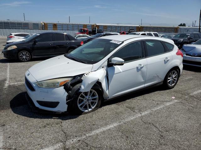 Хэтчбеки FORD FOCUS 2015 Белый