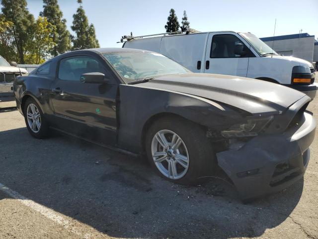  FORD ALL Models 2014 Чорний