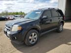 2010 Ford Escape Limited na sprzedaż w Portland, MI - Side