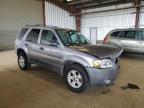 2007 Ford Escape Xlt zu verkaufen in American Canyon, CA - Front End