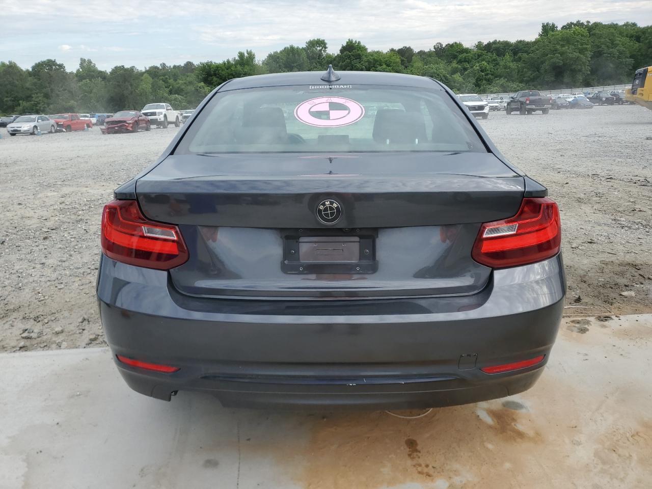2016 BMW 228 I Sulev VIN: WBA1F9C5XGV545342 Lot: 55561925