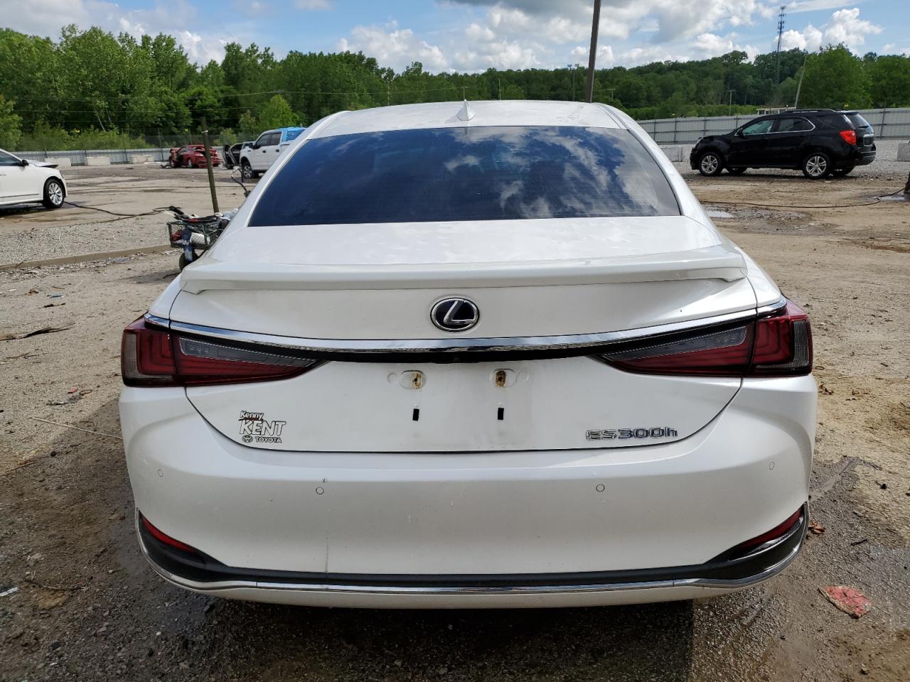 2020 Lexus Es 300H VIN: 58AD21B11LU004650 Lot: 56119995