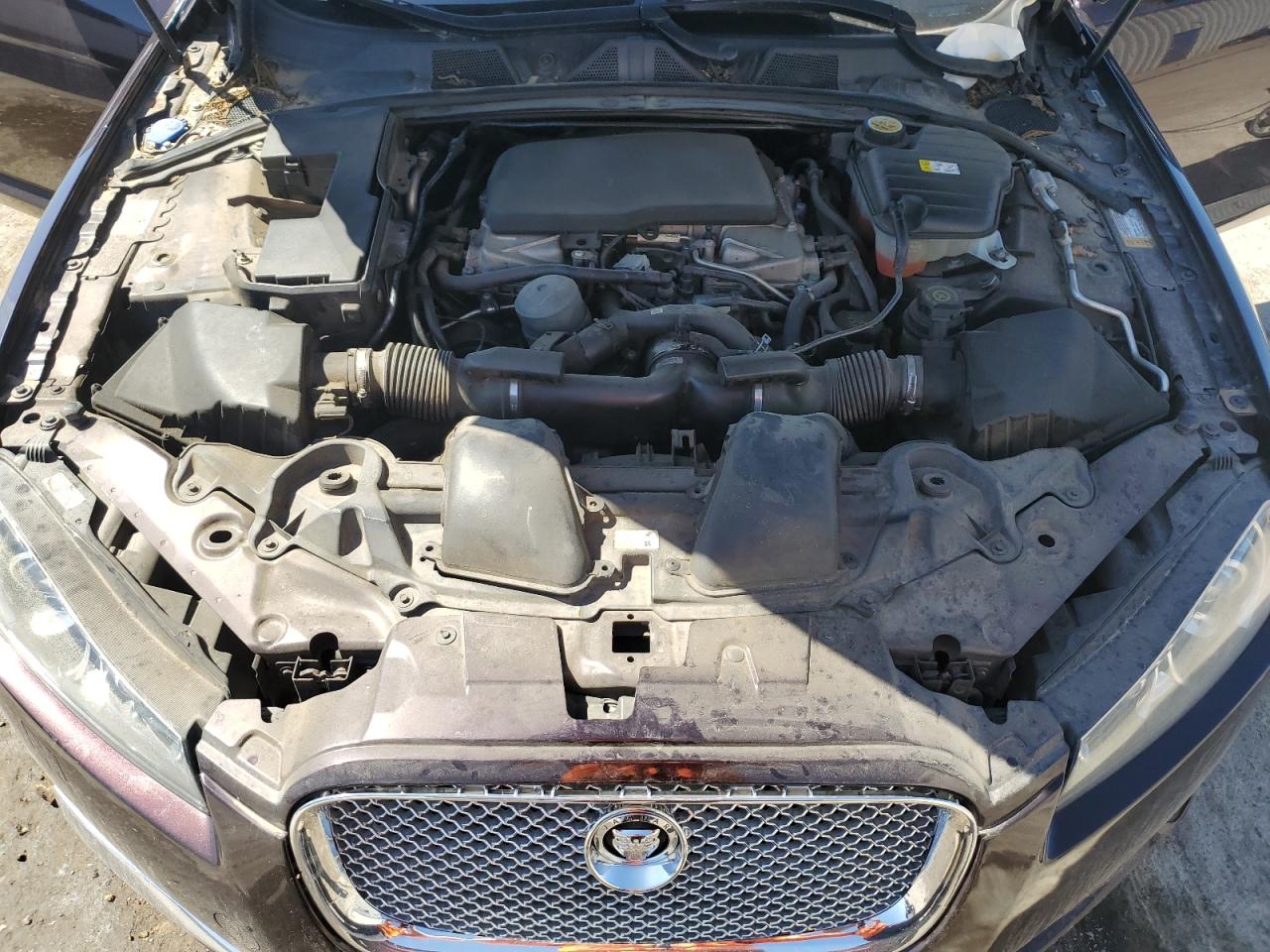 2013 Jaguar Xf VIN: SAJWA0E71D8S65581 Lot: 57835455