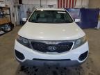 2011 Kia Sorento Base en Venta en Billings, MT - Side