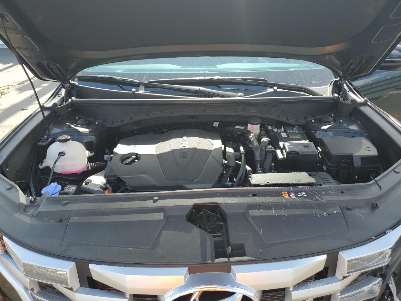 2024 Hyundai Santa Cruz Sel VIN: 5NTJC4AE5RH101064 Lot: 55305455